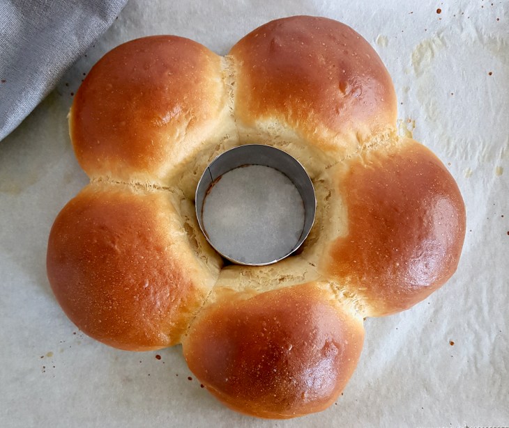 Imagen 22-12-19 a las 11.05 (4)