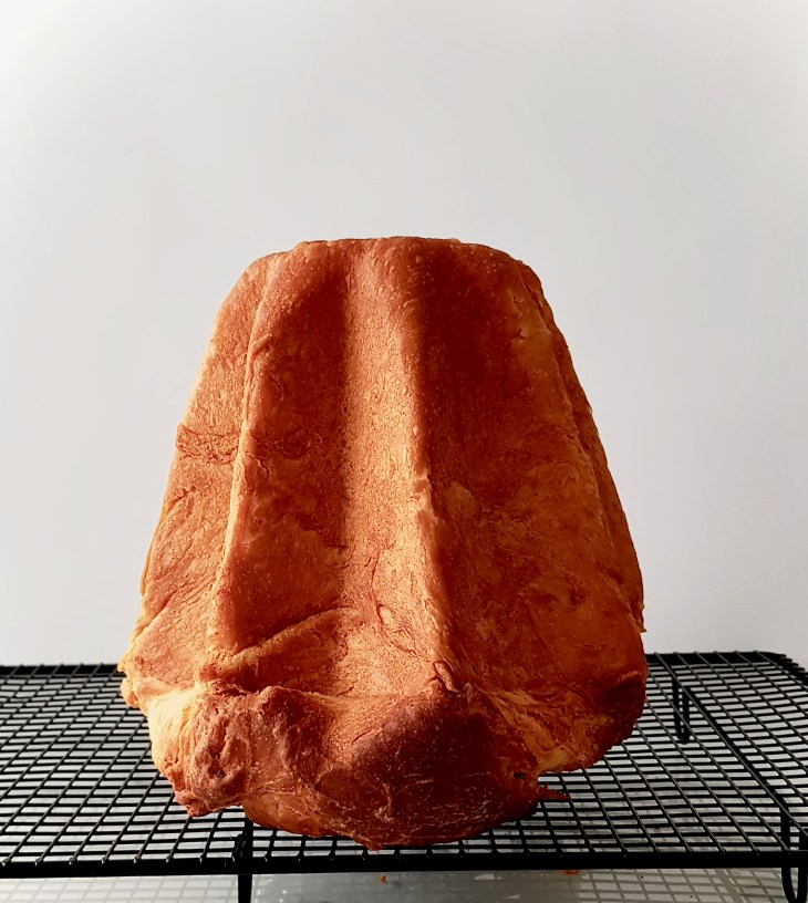 Imagen 8-12-20 a las 20.19